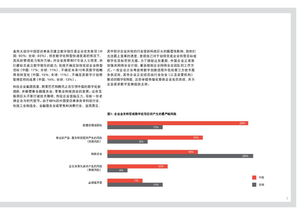 中国网络安全发展速度，远超想象的软件力量